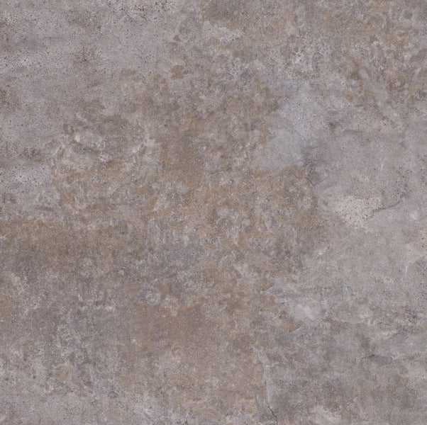 mFLOR 41615 Fonteyn Corrie