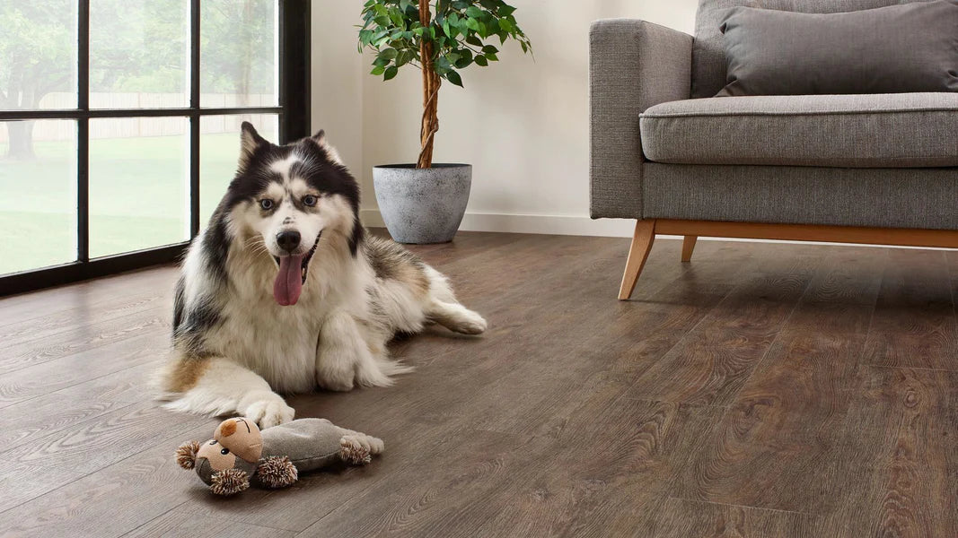 COREtec Essentials 1500 Series Jasper Oak 01 | Click PVC