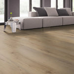 Belakos Attico 800 | Dryback-Kleber PVC