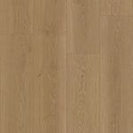 Hoomline Elegance Dryback