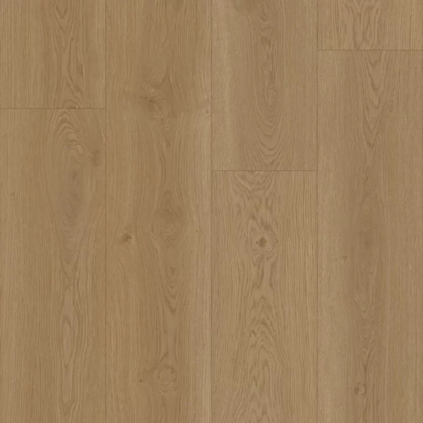 Hoomline Elegance Dryback