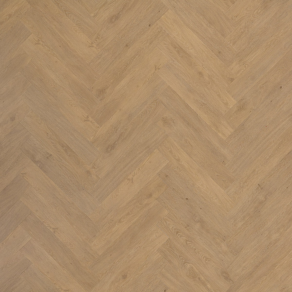 Beautifloor Cité 419190 Lille PVC vloer - stijlvolle visgraat eiken houtlook voor een modern, elegant en warm interieur
