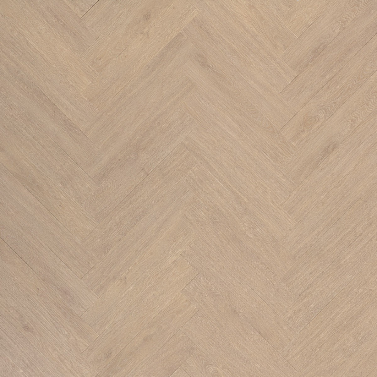 Beautifloor Cité 419194 Reims PVC vloer - elegante visgraat eiken houtlook voor een eigentijds, stijlvol en uitnodigend interieurontwerp