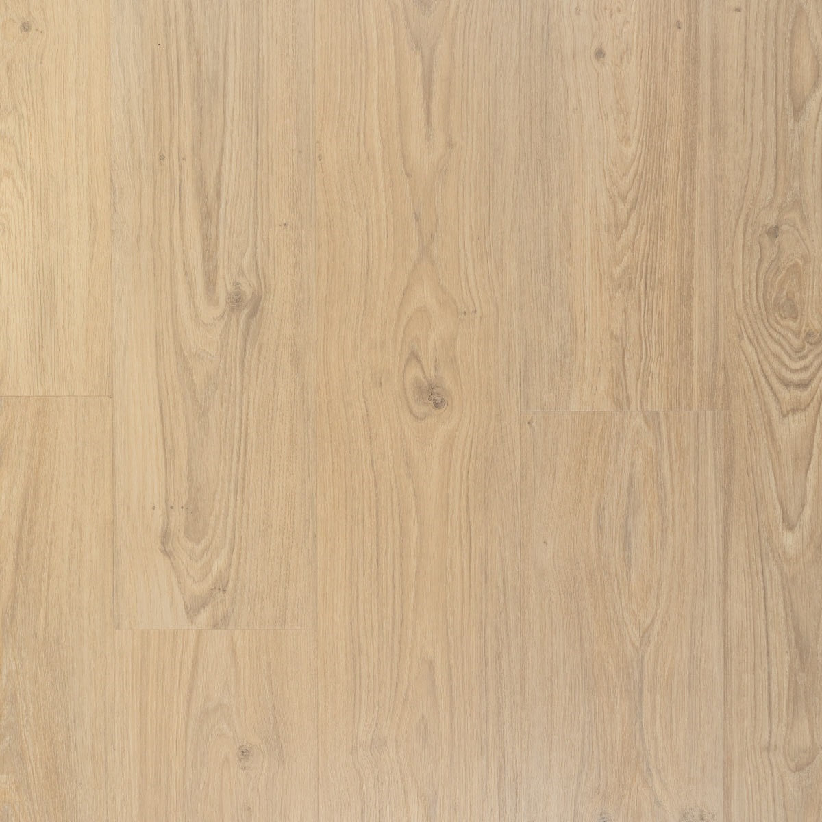 Douwes Dekker Ambitieus Riante Plank 07801 Crème Brûlée PVC vloer, biedt een duurzame en stijlvolle afwerking, ideaal voor moderne woonruimtes