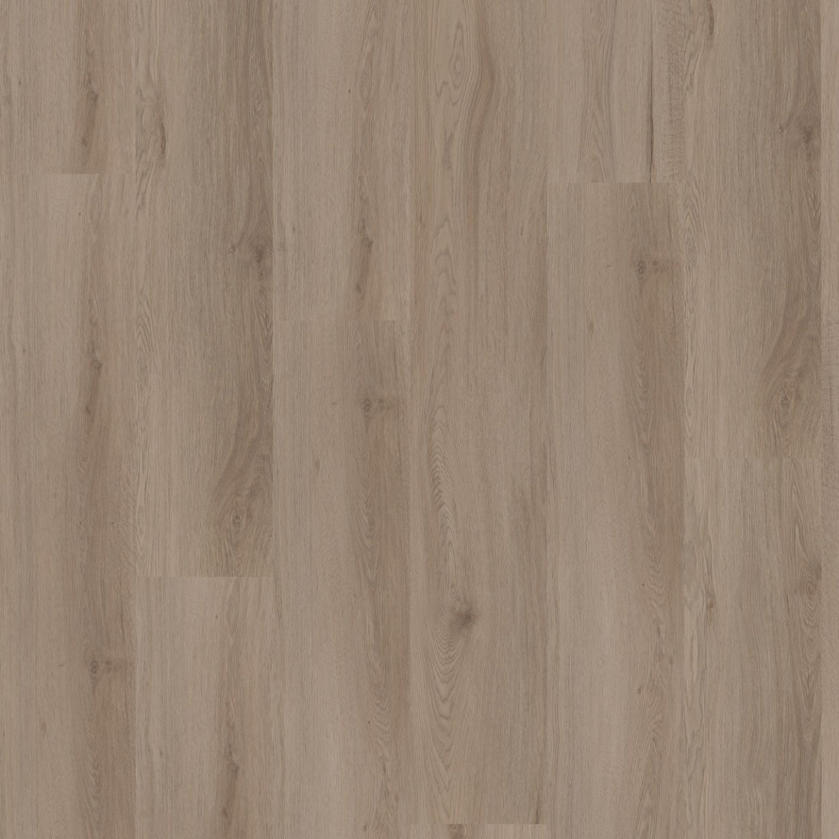 Hoomline Ambassador Alaska 65 PVC vloer - verfijnde eikenhout look die een modern, stijlvol en uitnodigend interieurontwerp creëert