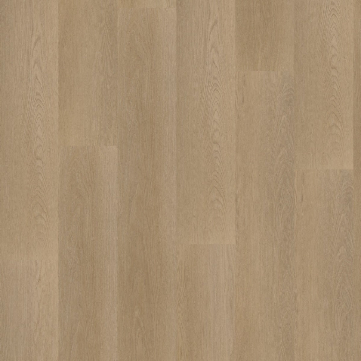 Hoomline Ambassador Georgia 6 PVC vloer - verfijnde eiken houtlook die een modern, stijlvol en gastvrij interieurontwerp creëert