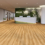 Joka LVT 555 Evolut Plank Dryback 5914 Summer Oak