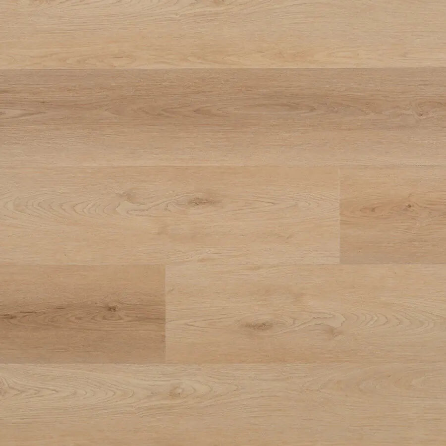 Lamett Nakuru Lion NAK-5761-IB