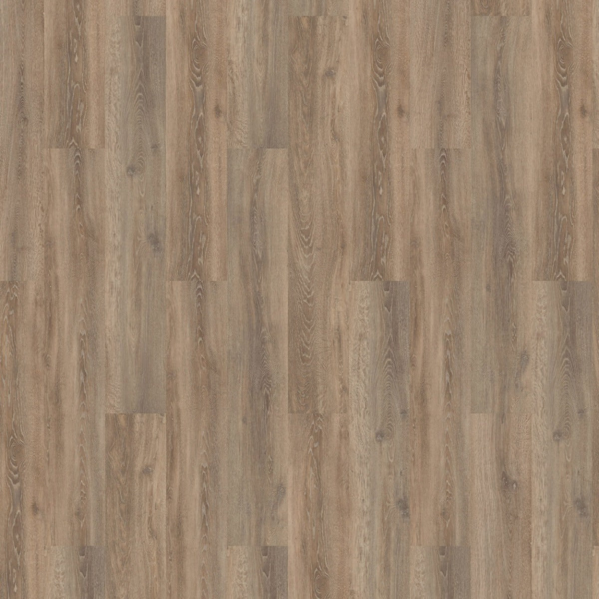 mFLOR Authentic Oak XL 56313 Calabria PVC vloer, elegante houtlook met extra lange en brede planken voor zowel moderne als klassieke interieurs