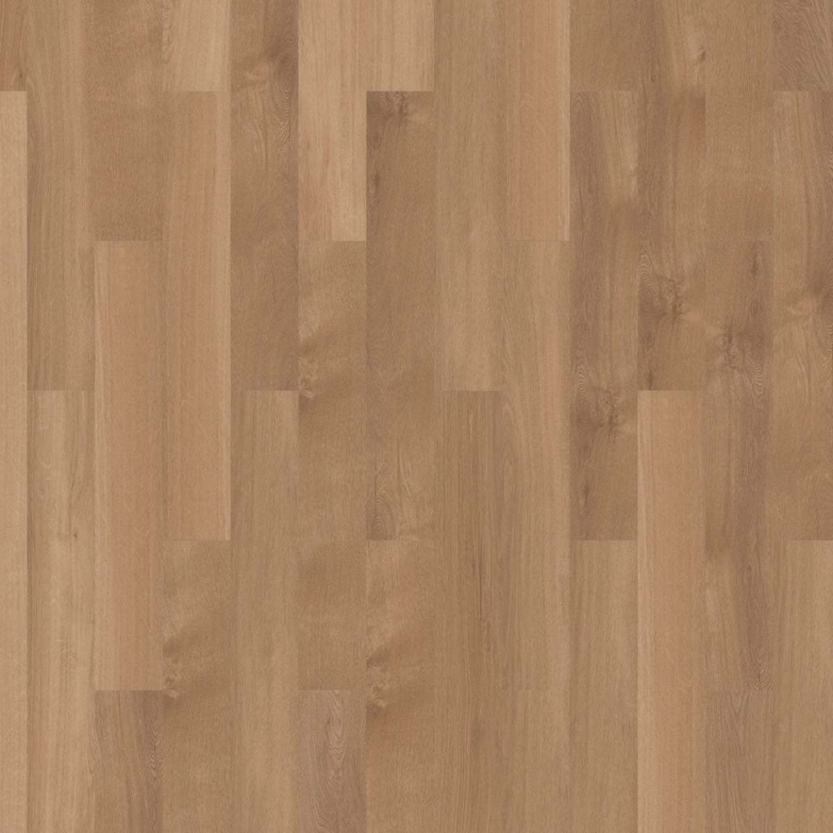 mFLOR Broad Leaf 41822 Pure Sycamore PVC vloer biedt een stijlvolle en duurzame houtlook, perfect voor moderne en klassieke interieurs