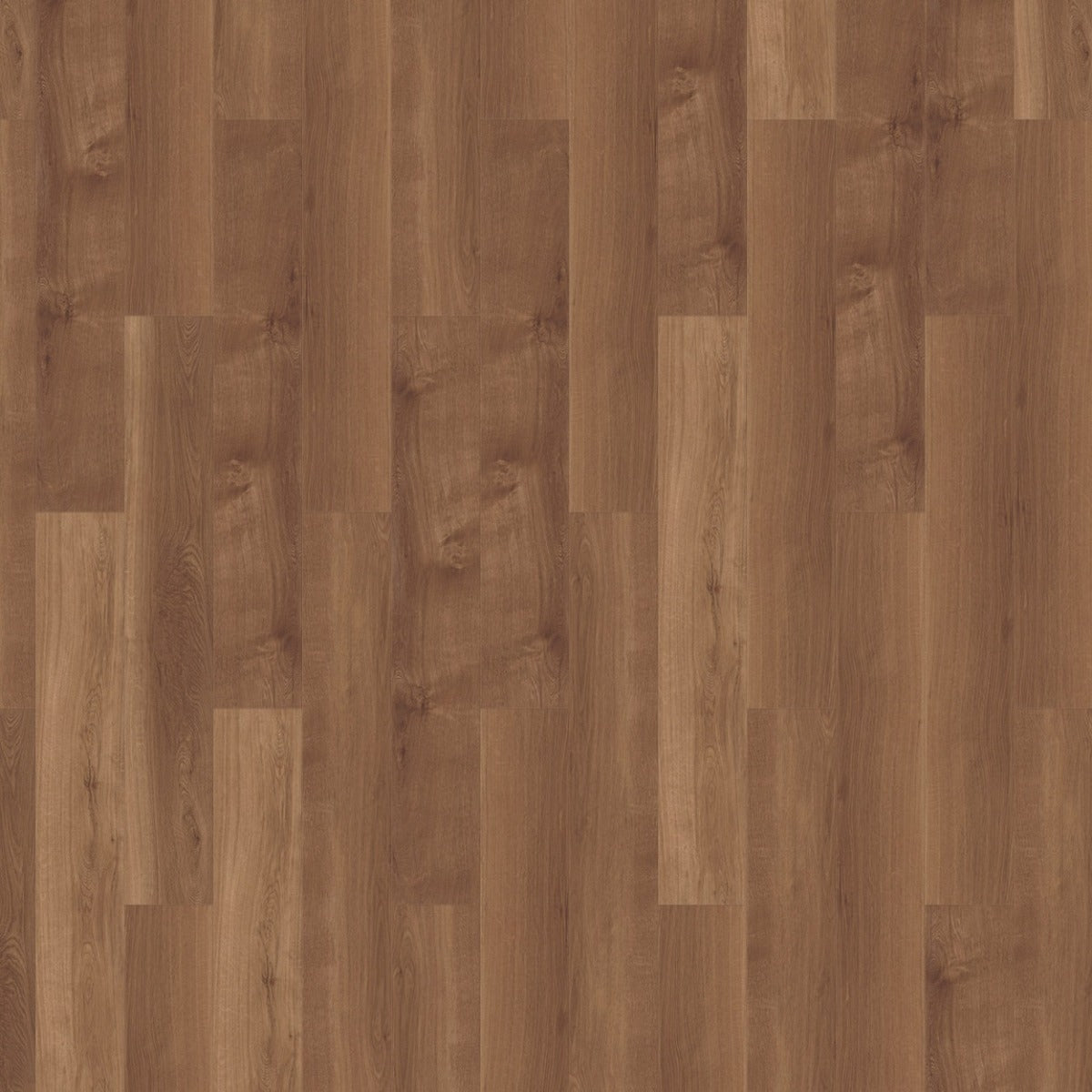 mFLOR Broad Leaf 41813 Dark Sycamore PVC vloer biedt een duurzame en elegante houtlook, perfect voor zowel moderne als klassieke interieurs