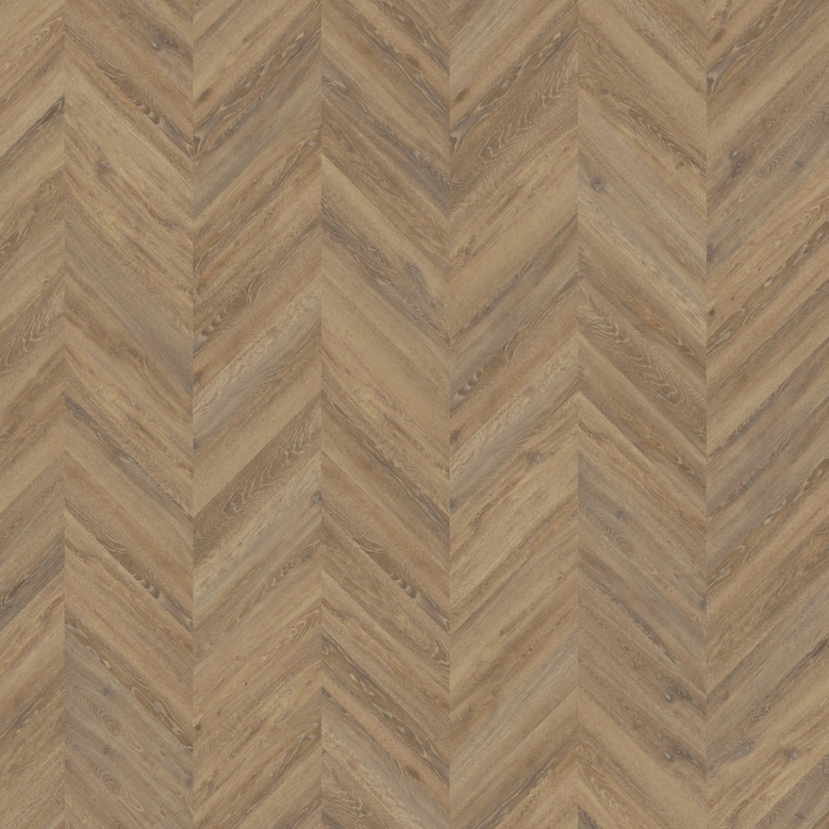 mFLOR Parva Oak Chevron 42215 Apulia PVC vloer biedt een stijlvolle Hongaarse punt patroon, voor zowel in moderne als klassieke woningen