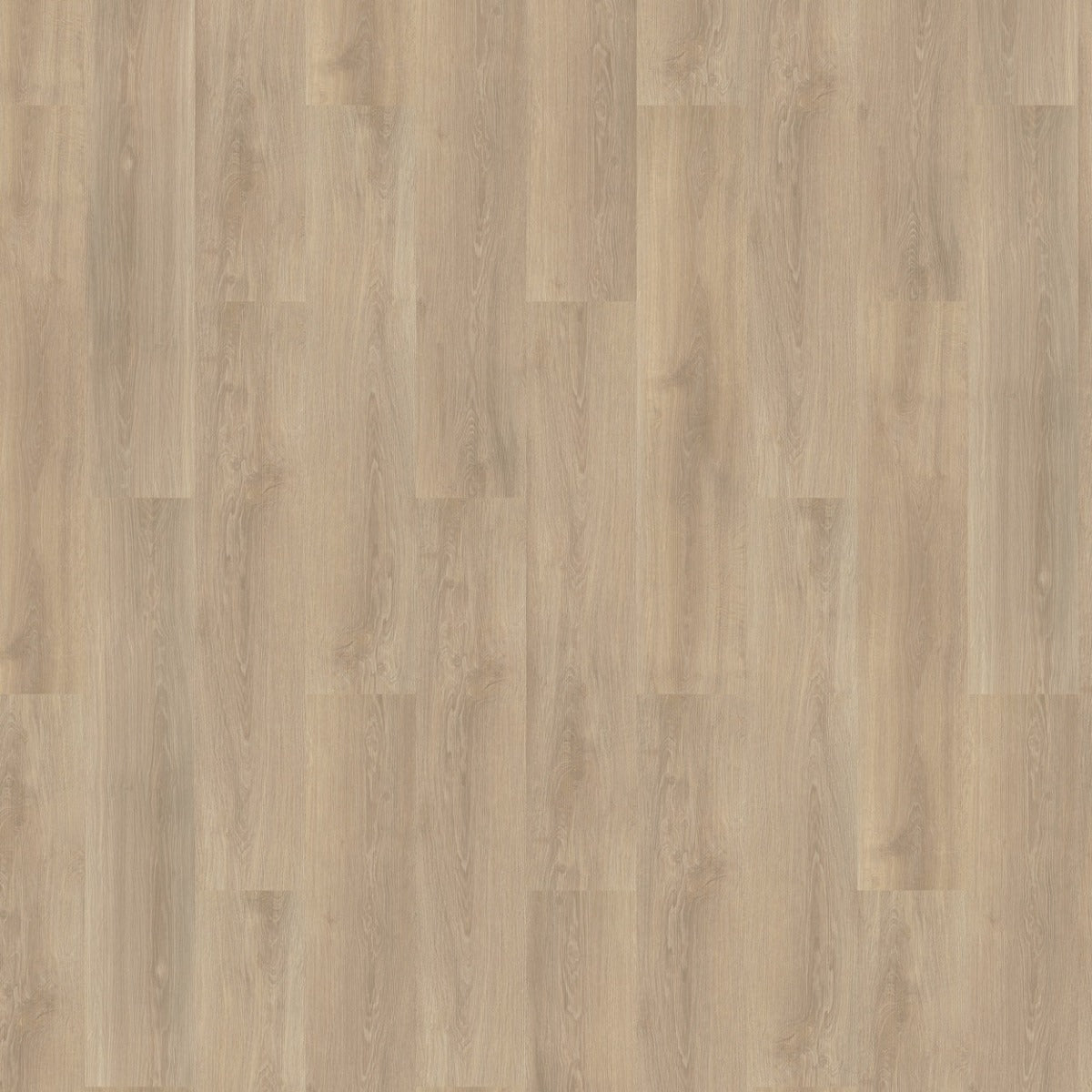 mFLOR River Oak XL 73014 Po