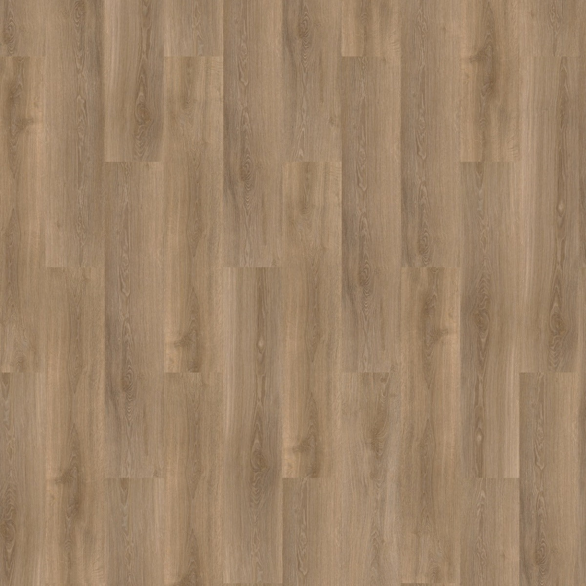 mFLOR River Oak XL 73024 Volga