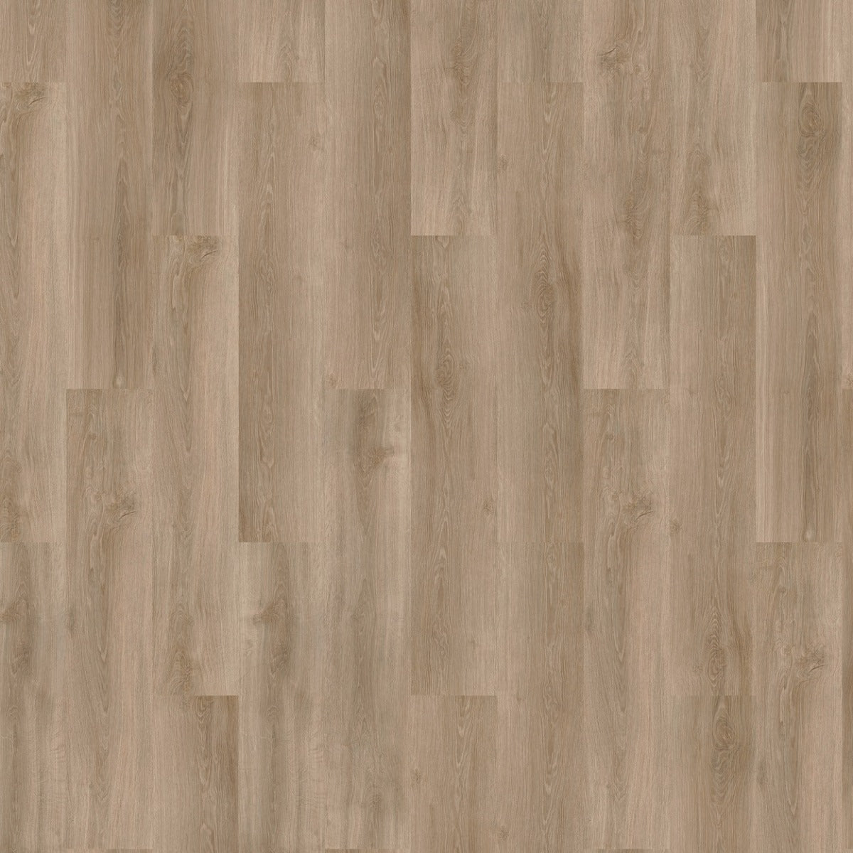 mFLOR River Oak XL 73025 Douro