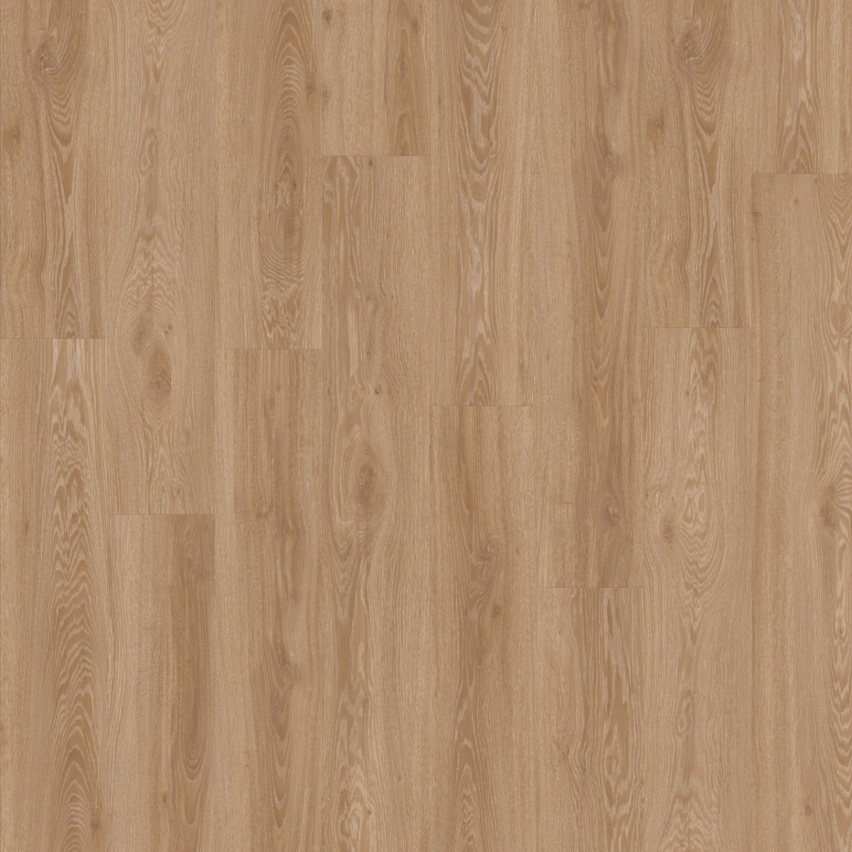 Moduleo Layred Blackjack Oak 22450 pvc vloer met klikverbinding: realistische eikenlook, ideaal voor een moderne en elegante uitstraling
