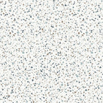 Moduleo Roots 55 Fiastra 46630 pvc tegel: premium vloer met een realistische terrazzo uitstraling, perfect voor een eigentijdse en verfijnde sfeer