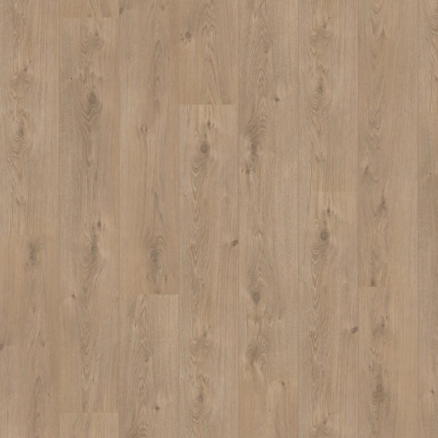 Hoomline Laminaat | Royal V2 Aqua Protect | Marche 583 | 2V-Groef