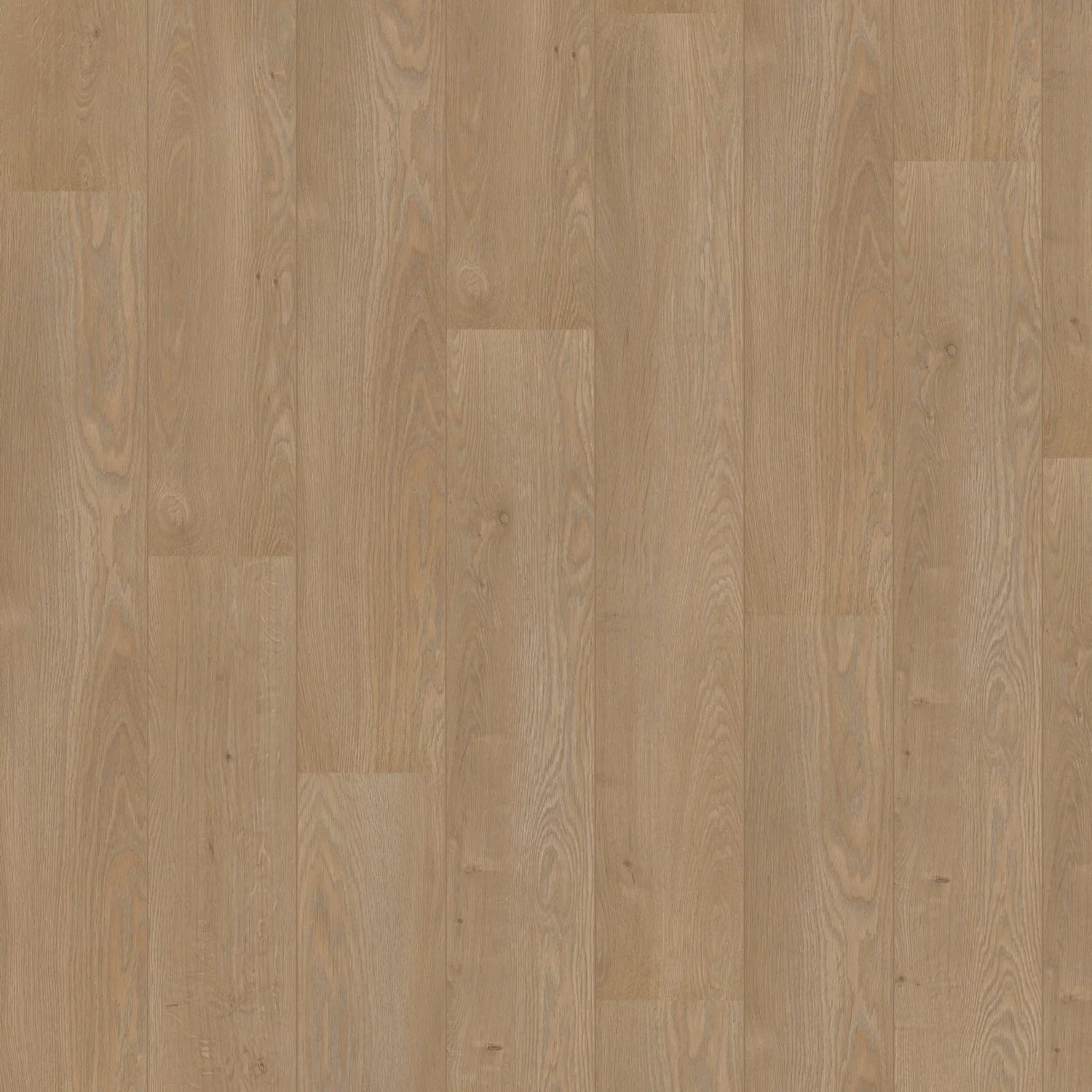 Hoomline Laminaat | Royal V2 Aqua Protect | Lombardije 4939 | 2V-Groef