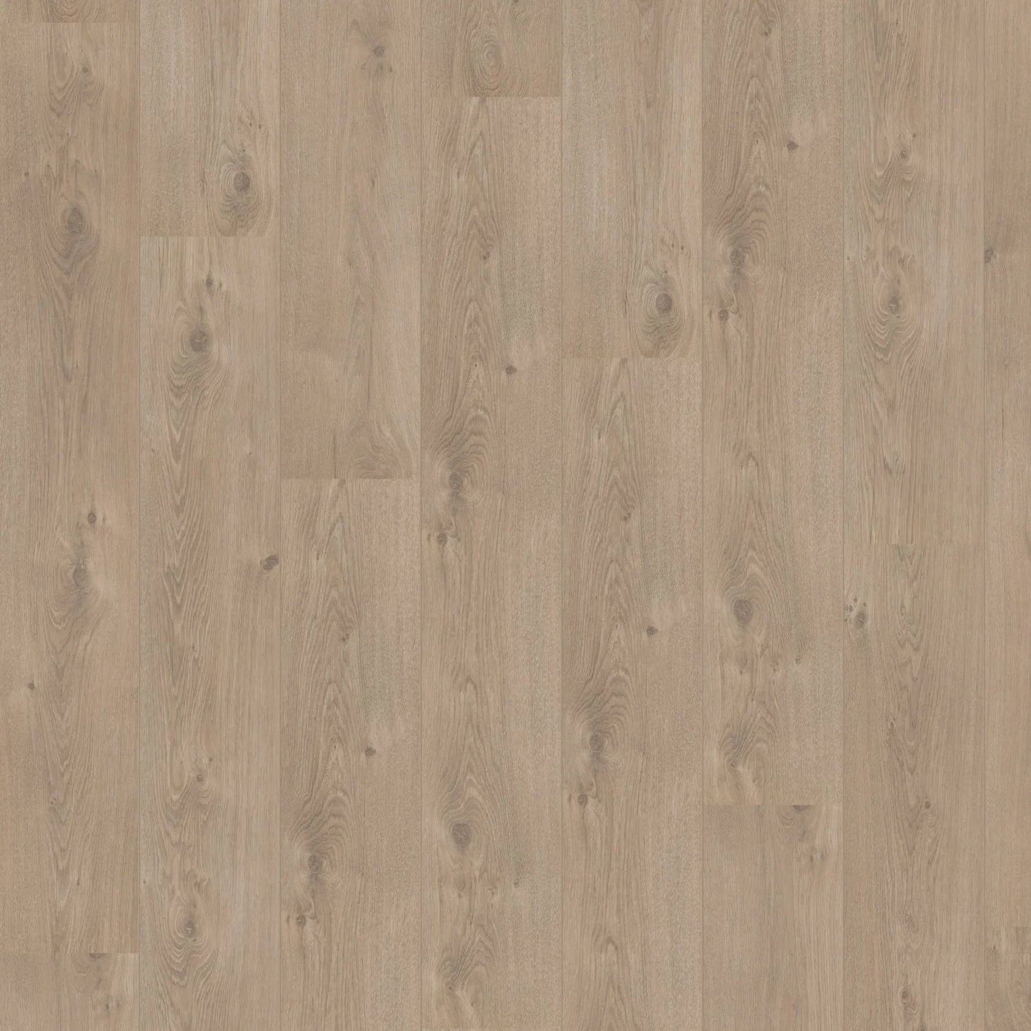 Hoomline Laminaat | Royal V2 Aqua Protect | Puglia 4941 | 2V-Groef