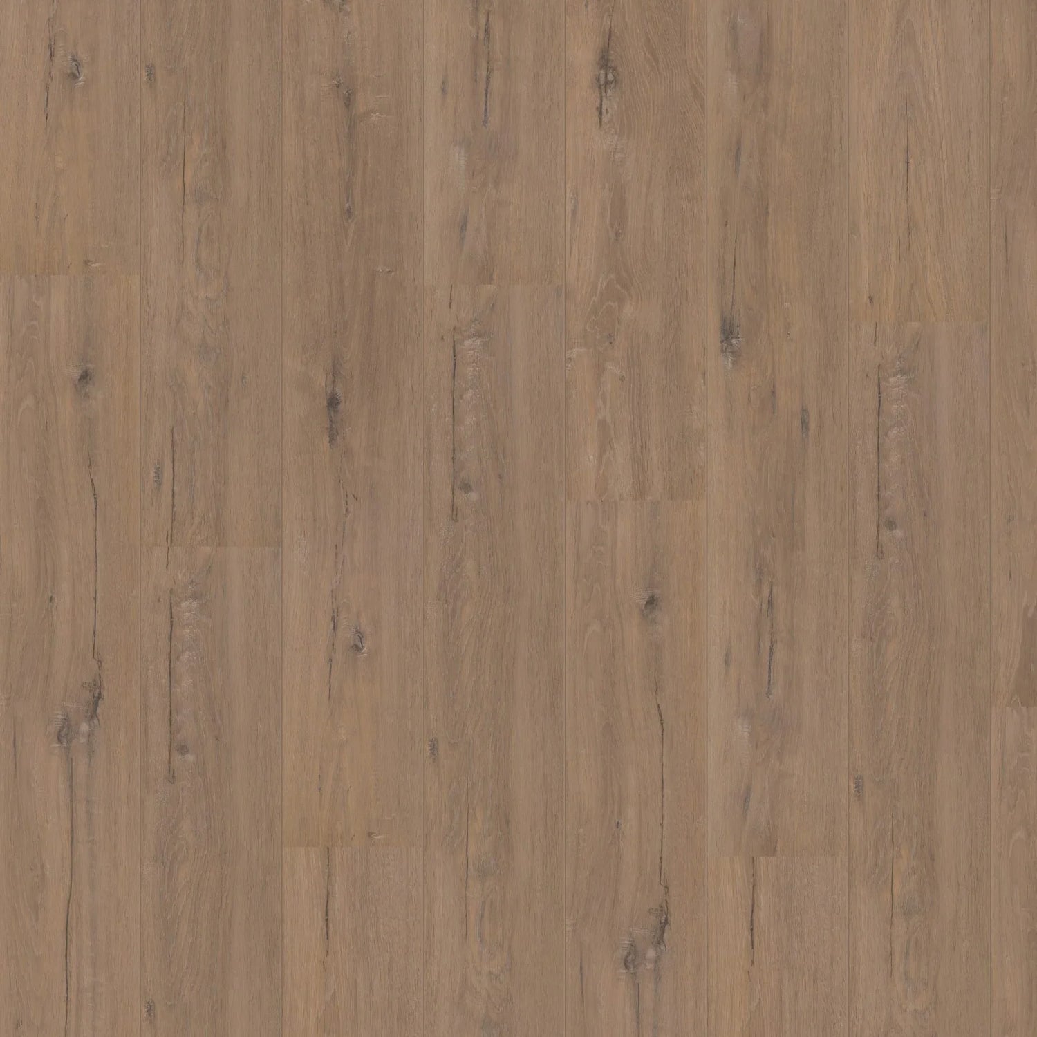 Hoomline Laminaat | Royal V2 | Toscane Eik 902 | 2V-Groef