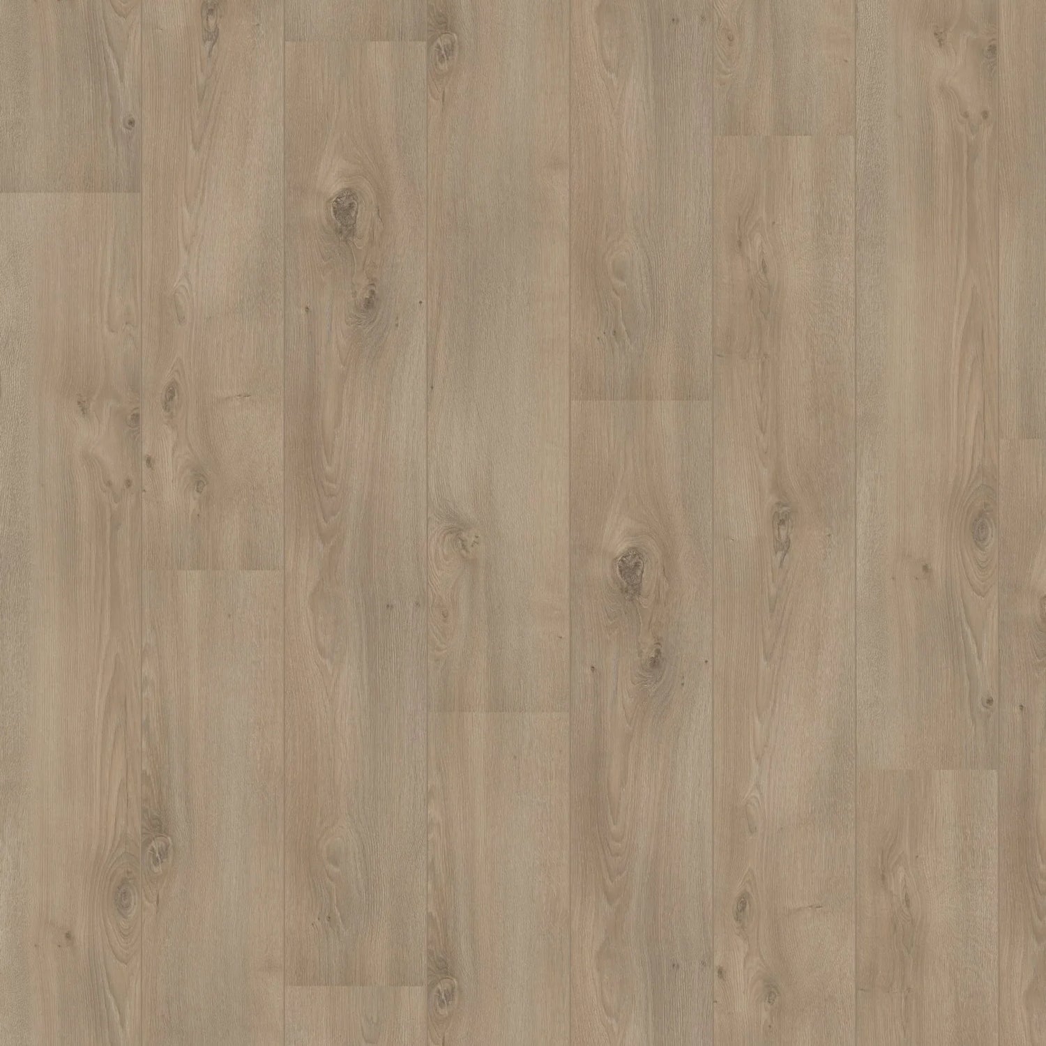 Hoomline Laminaat | Royal V2 | Campania 106 | 2V-Groef