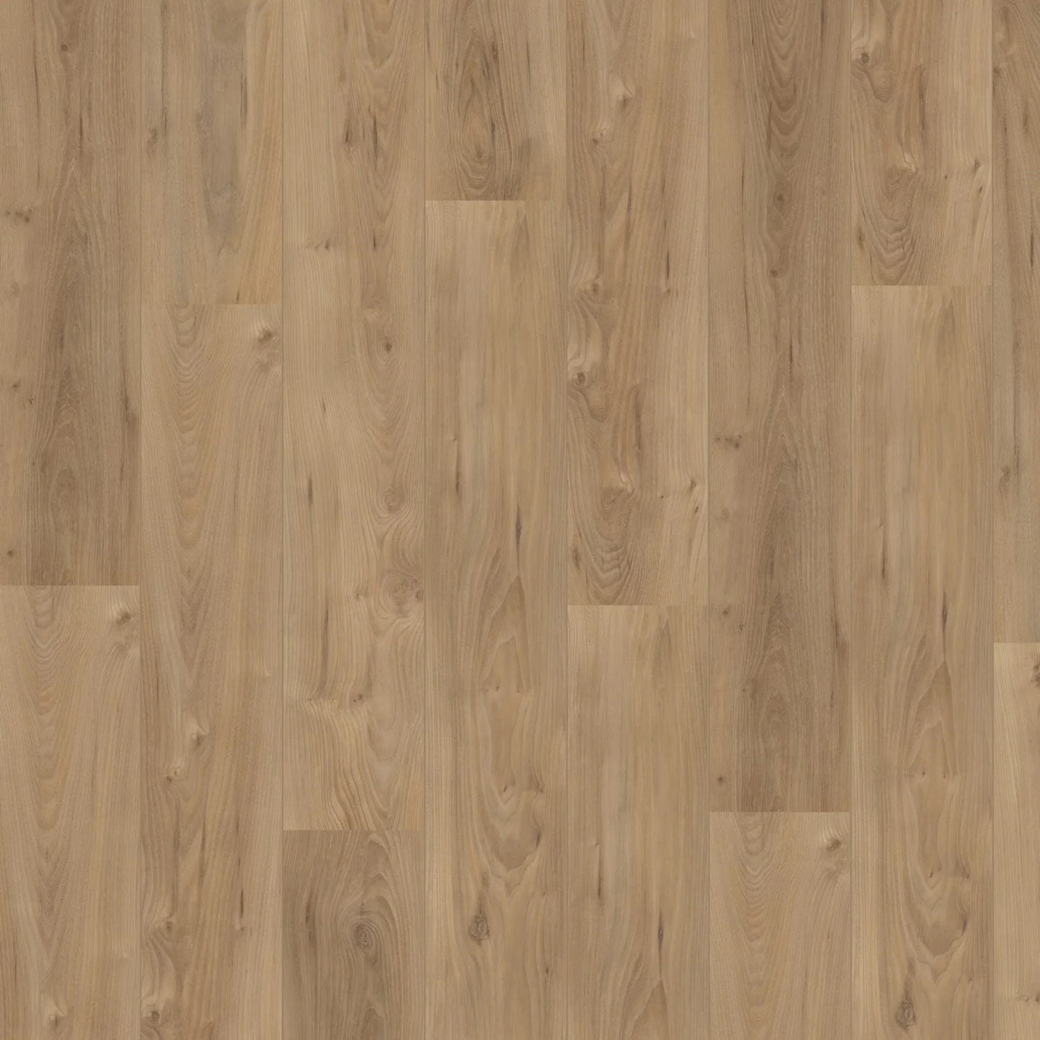 Hoomline Laminat | Royal V2 | Lazio 755 | 2V-Fuge