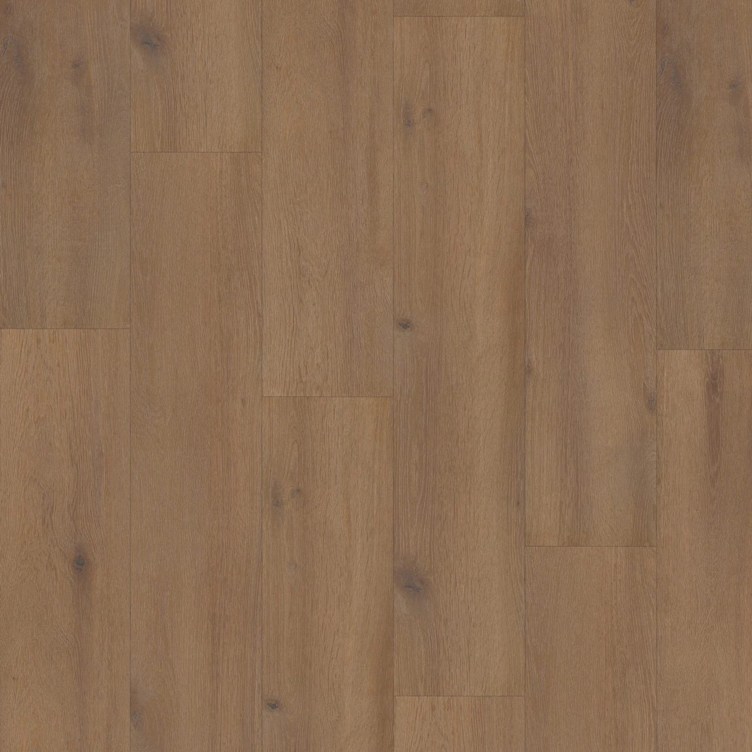 Hoomline Laminaat | Elite XL V4 | Waal 6079 | 4V-Groef