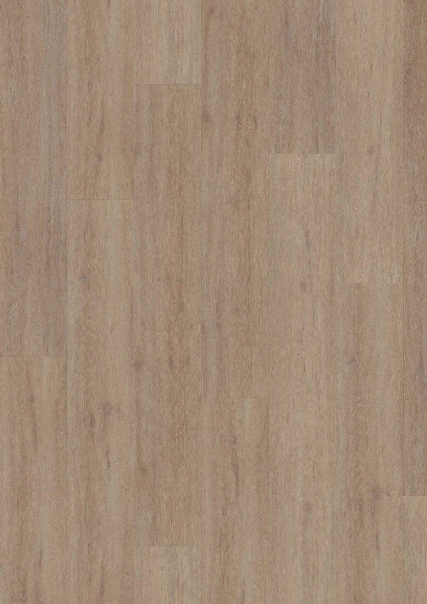 Hoomline Fusion XL 55 Gotham Oak Oiled