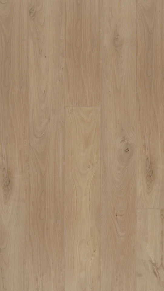 COREtec Proplus+ 1224 Millau | Click PVC