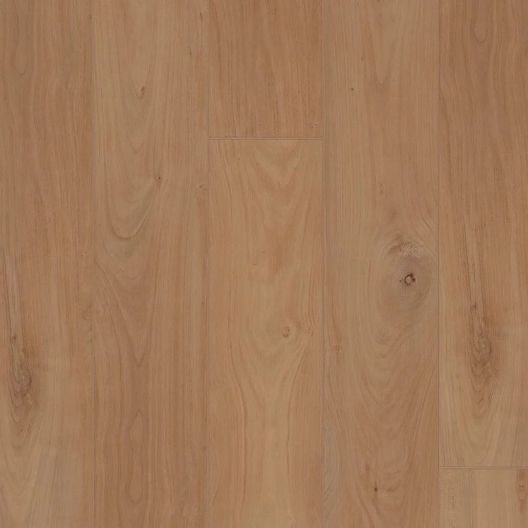 COREtec Proplus+ 1225 Dome | Click PVC