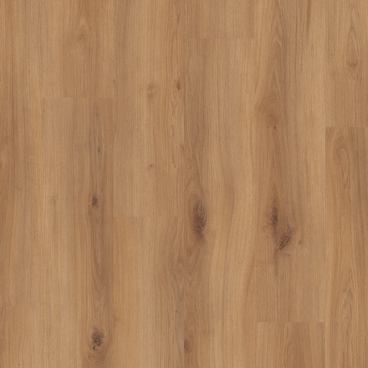 Beautifloor Ardennen Palogne | Laminaat zonder V-Groef