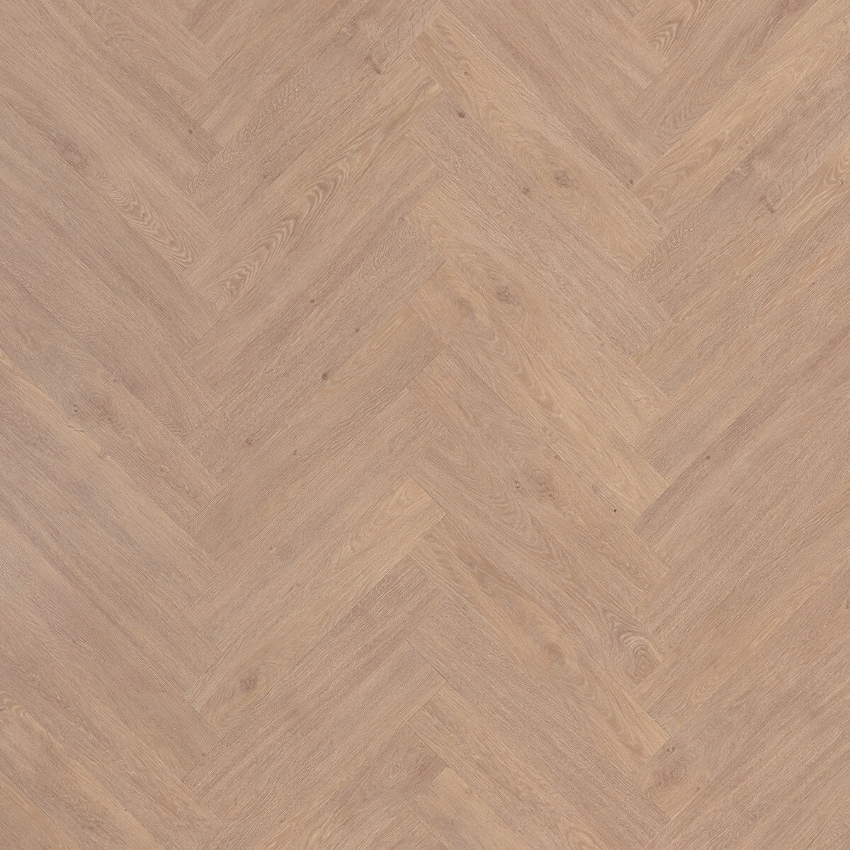 Beautifloor Cite Nantes | Visgraat PVC | Dryback Plak PVC