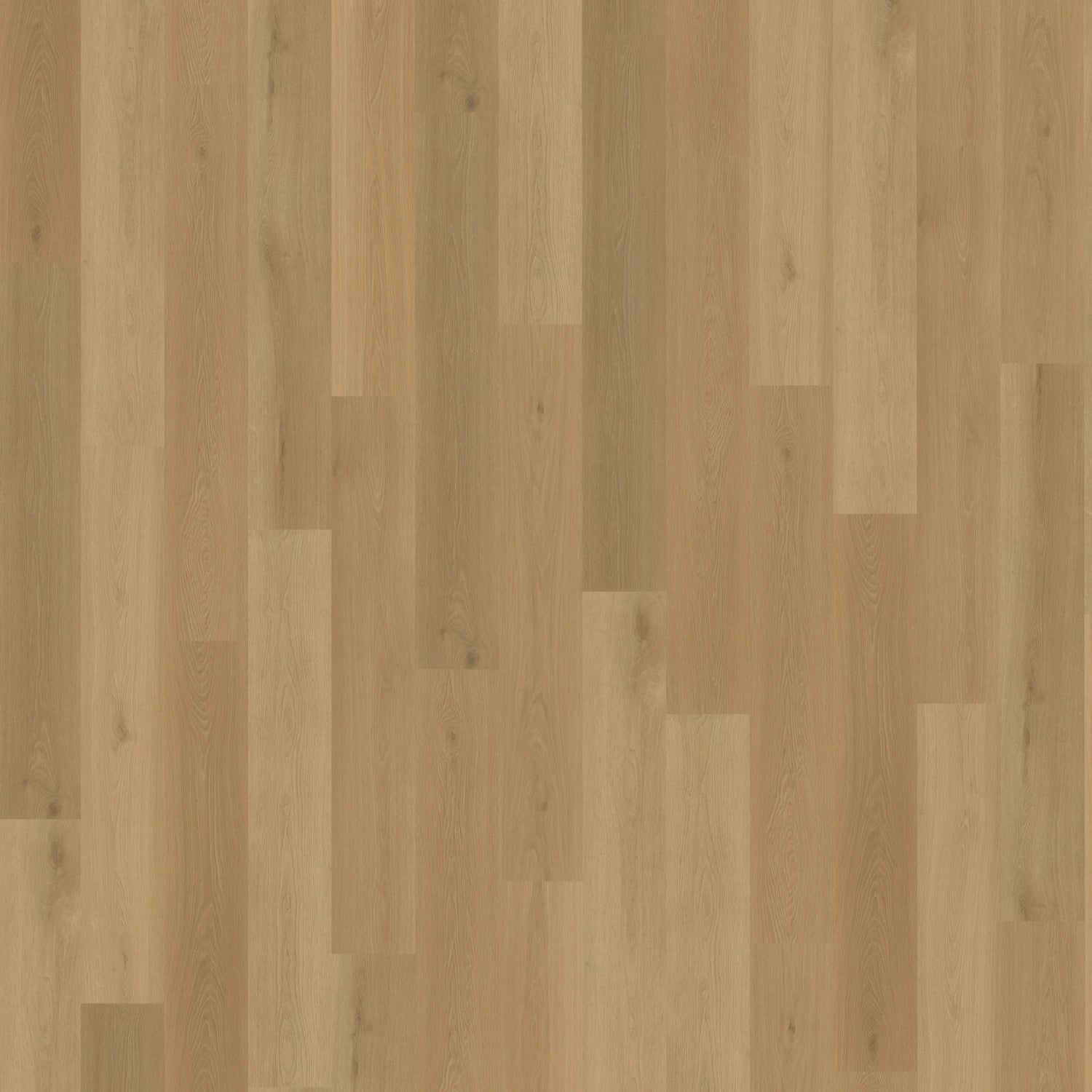 Belakos Borgo Plank 320 | Dryback Lijm PVC