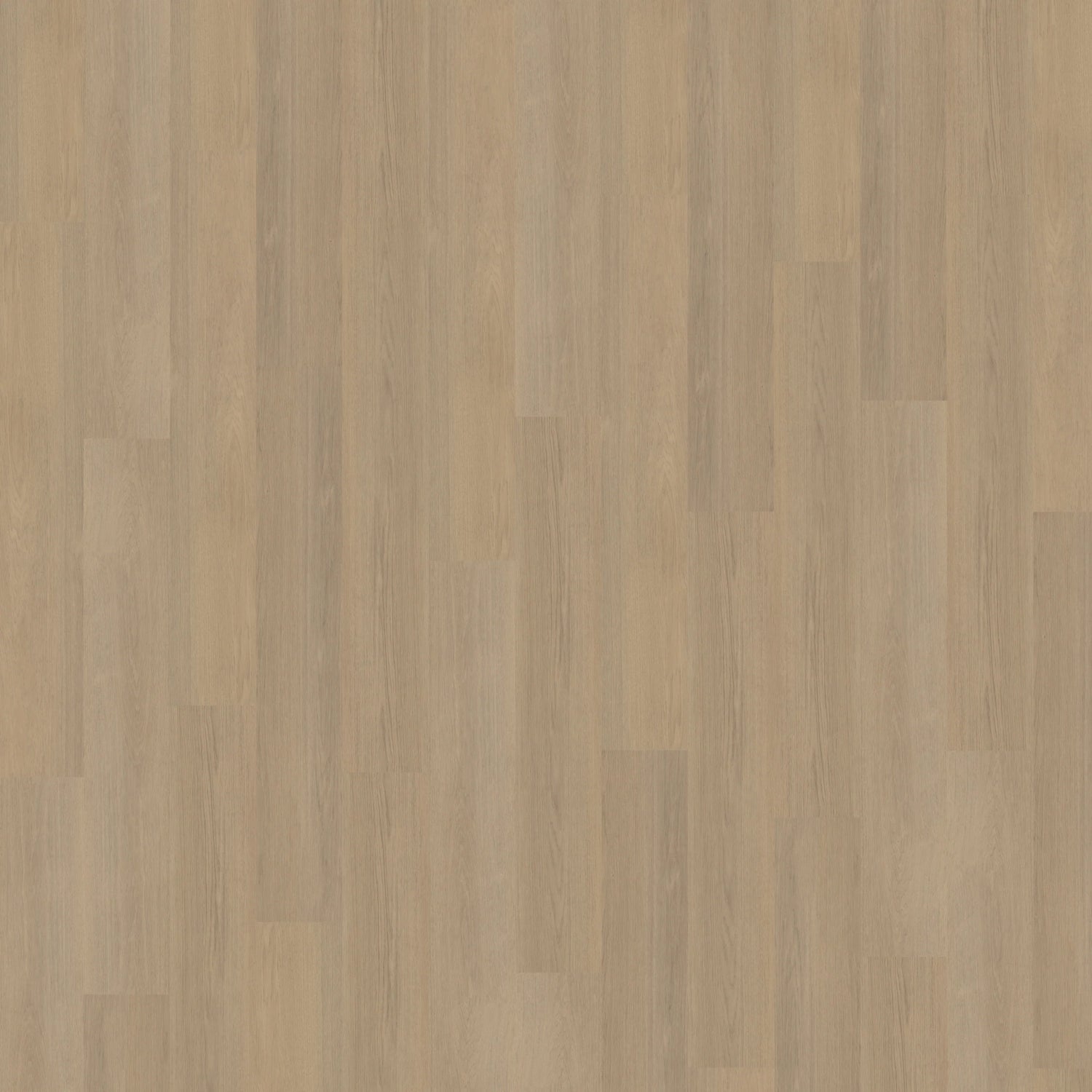 Belakos Futuro Plank 530 | Dryback Lijm PVC