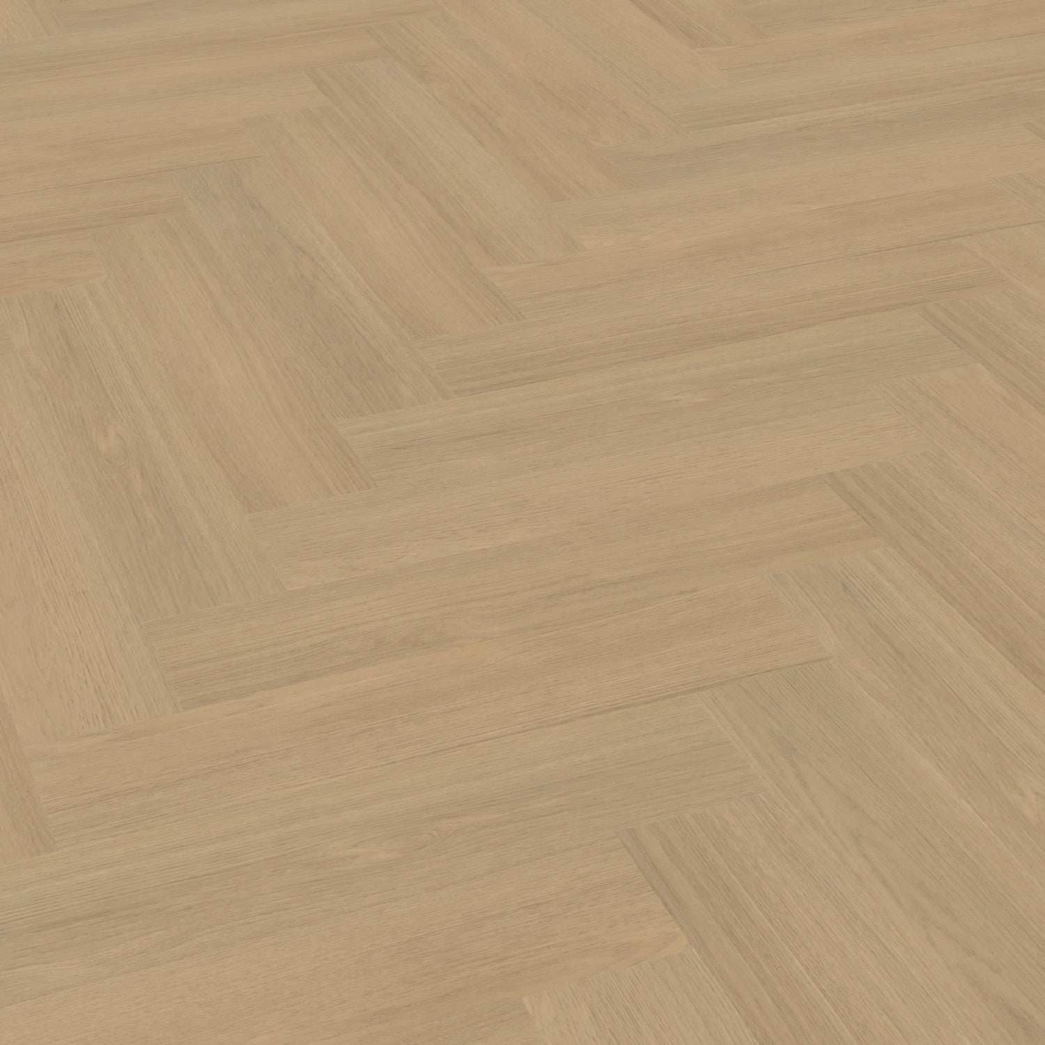 Belakos Futuro Visgraat XL 52 | Dryback Plak PVC