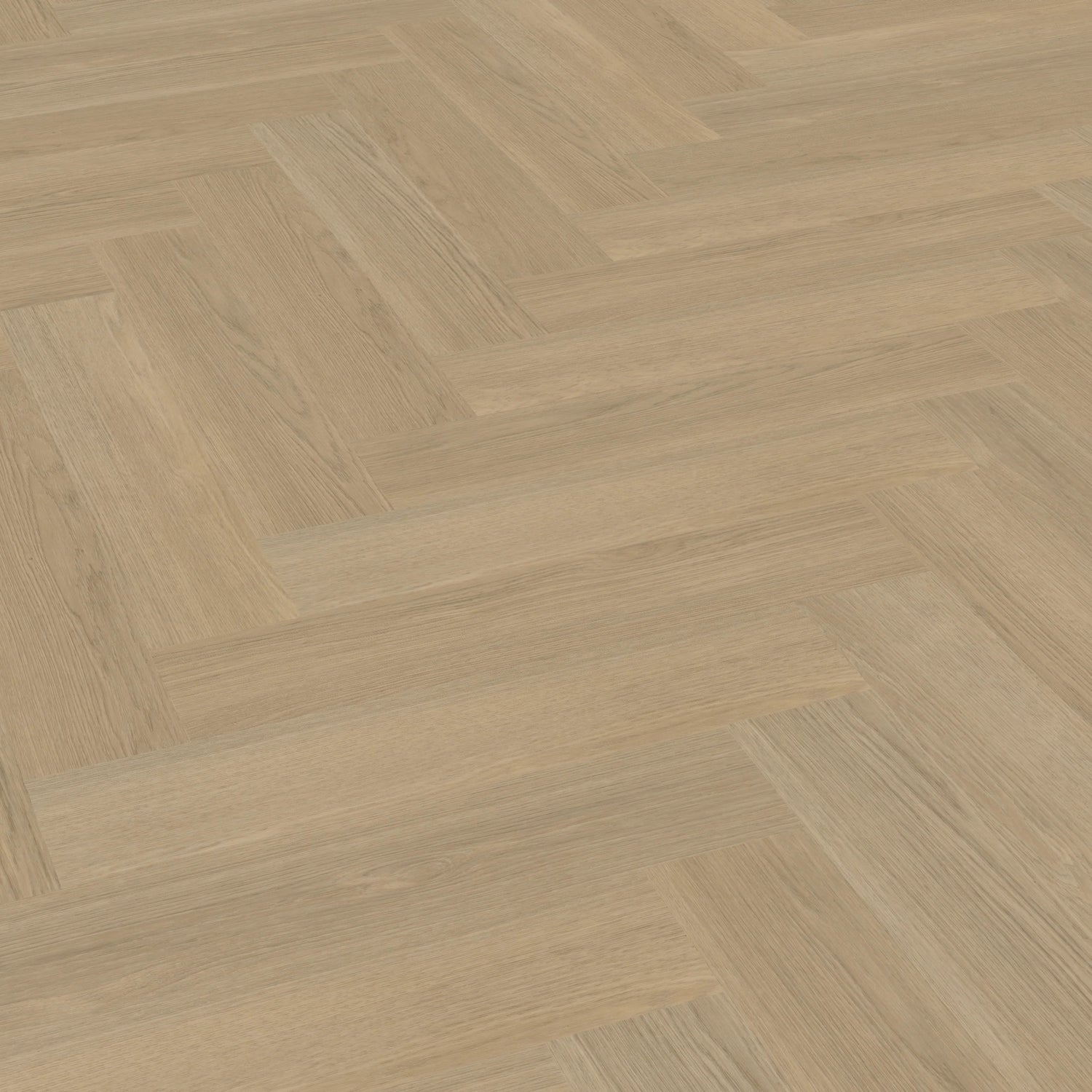 Belakos Futuro Visgraat XL 53 | Dryback Plak PVC