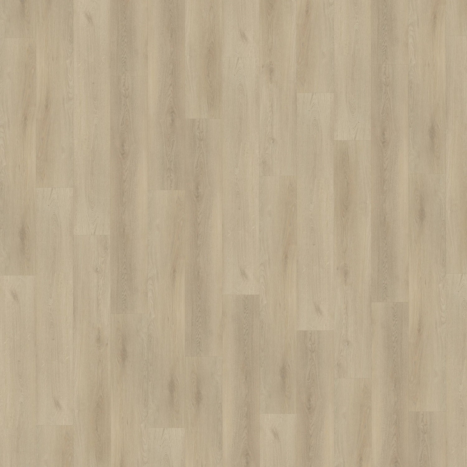 Belakos Palazzo 730 | Dryback Lijm PVC