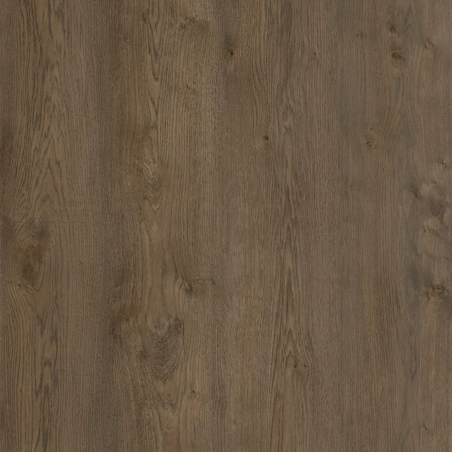 COREtec Naturals 1800+++ Serie 2887 Elon | Click PVC