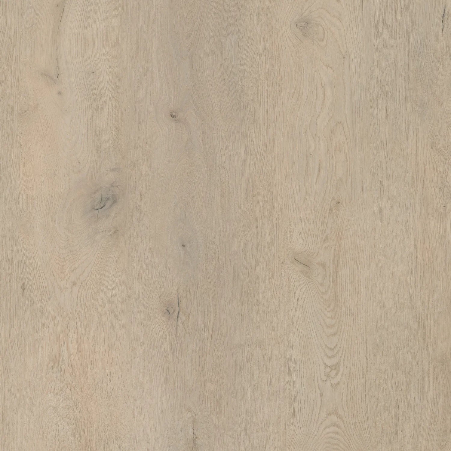 COREtec Naturals 1500+++ Serie 2554 Flora | Click PVC