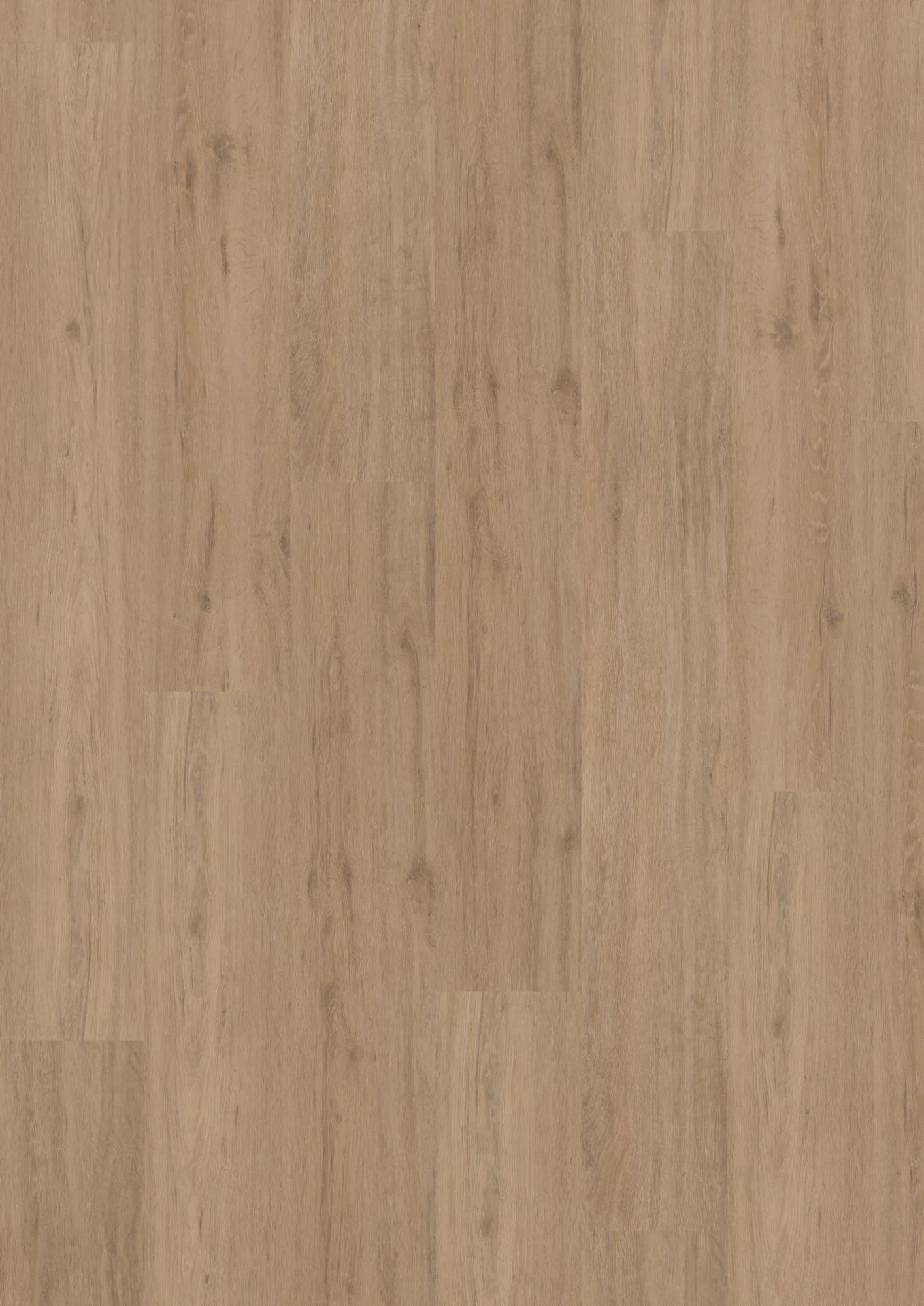 Hoomline Fusion Click Superior XL Gotham Oak Natural