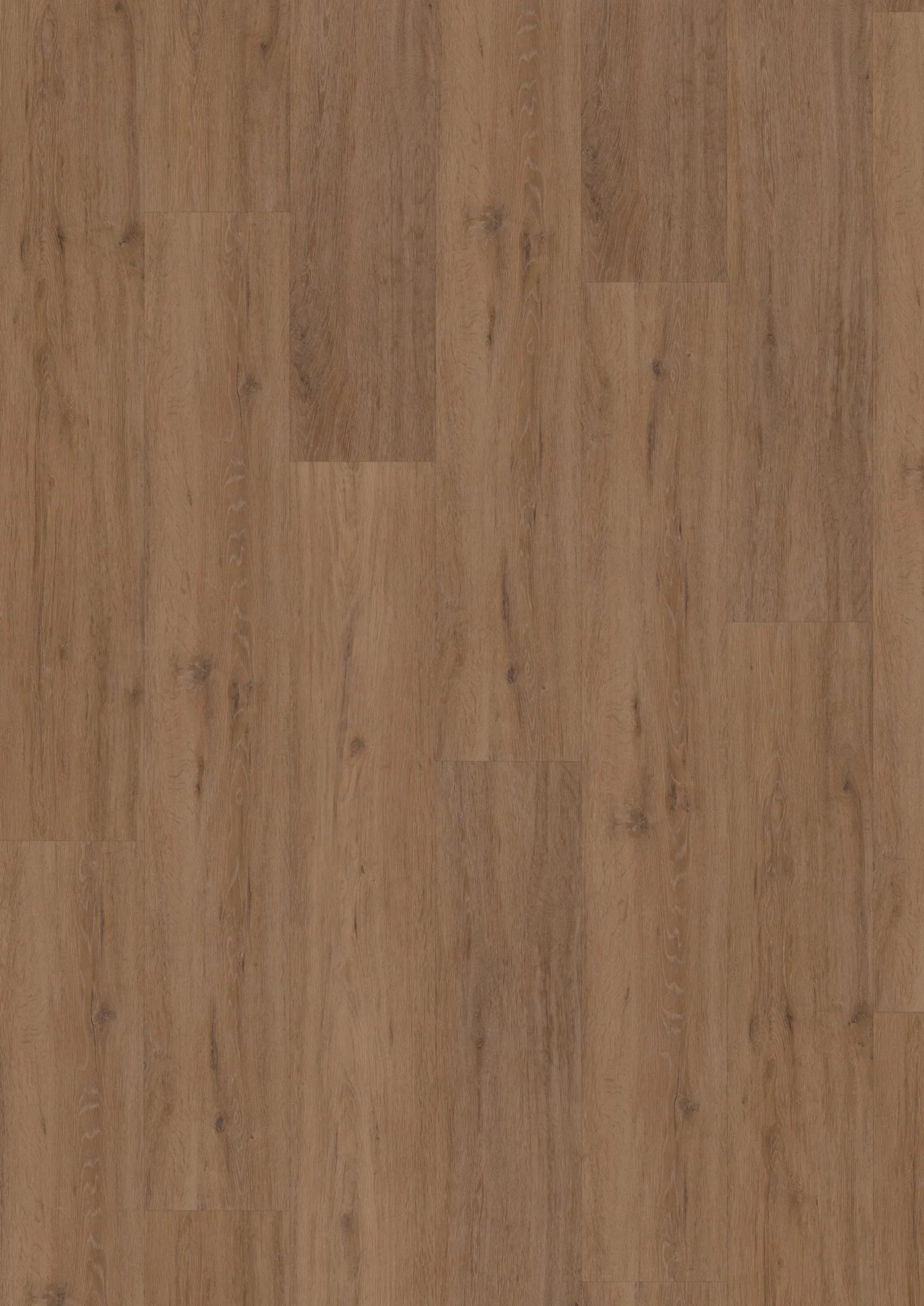 Hoomline Fusion XL 55 Gotham Oak Honey