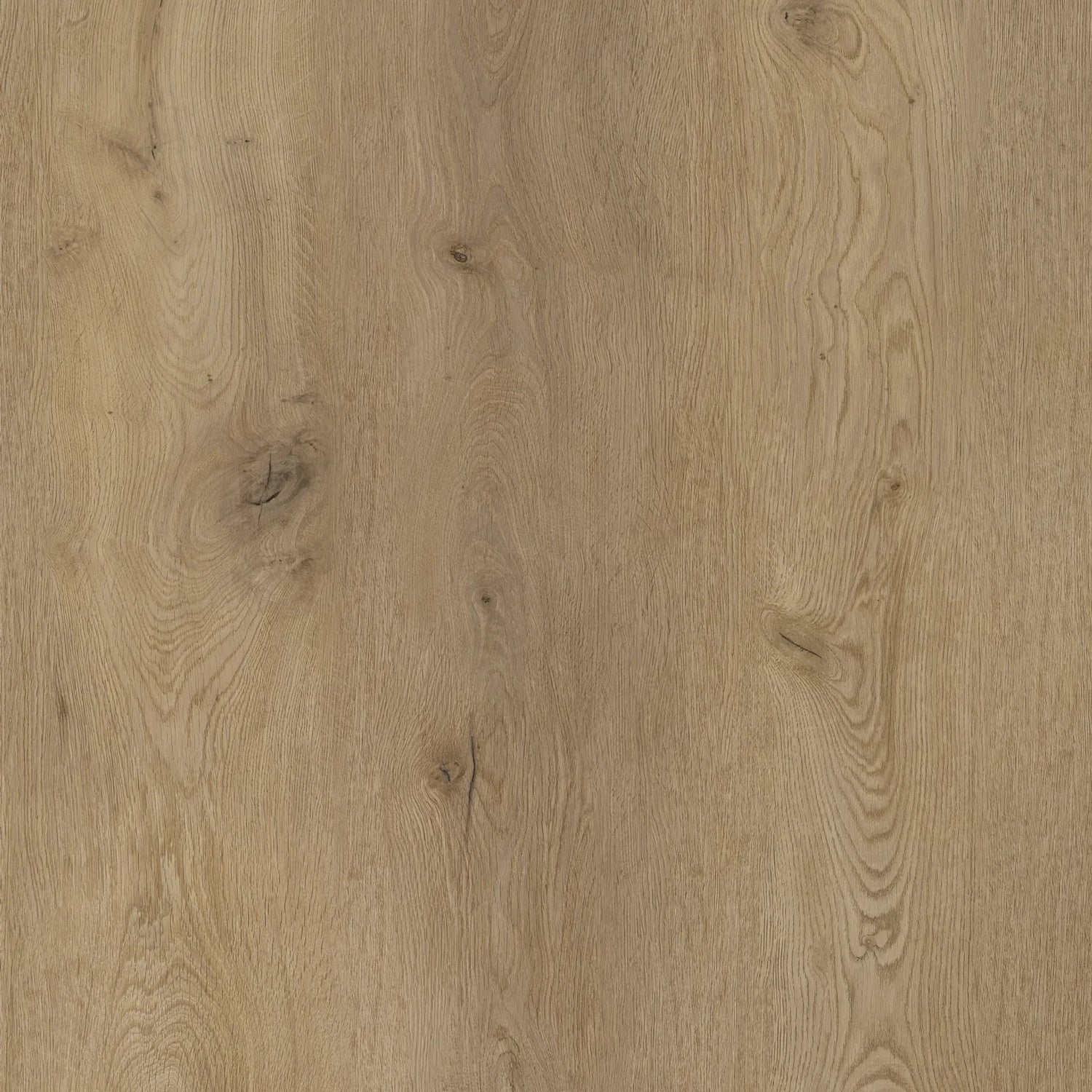 COREtec XL-End 2557 Montclair | Click PVC