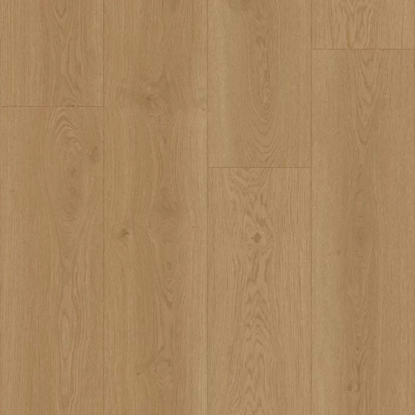 Hoomline Elegance Dryback
