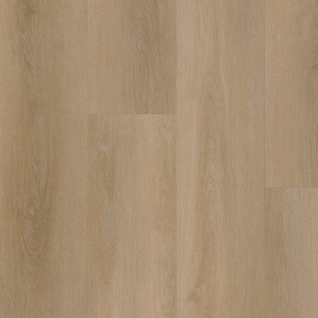 Belakos Attico 810 | Dryback Lijm PVC