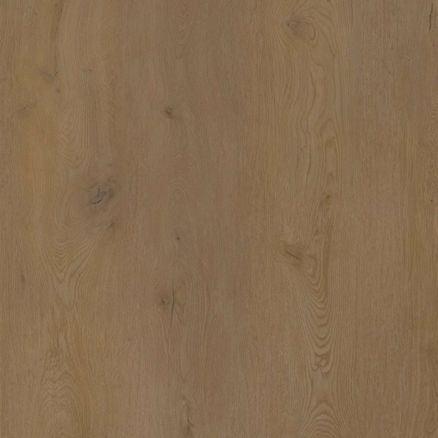 COREtec Naturals 1500+++ Serie 2556 Sorrel | Click PVC