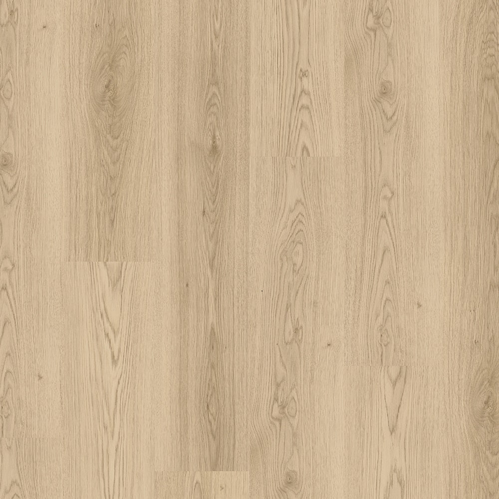 Beautifloor Antwerpen Lint 40094153