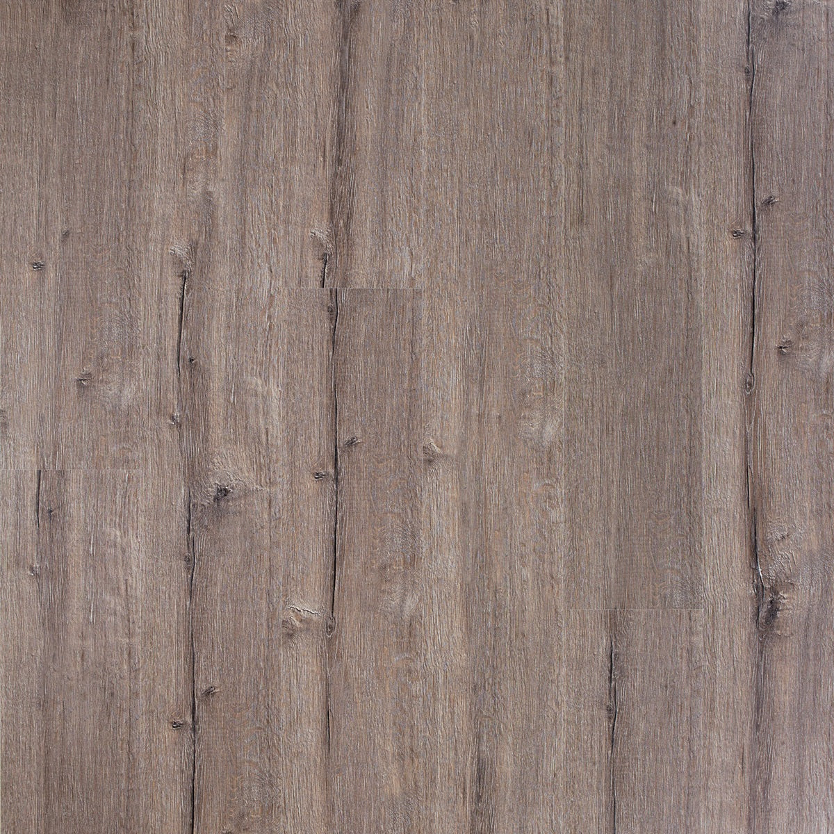 Beautifloor Ardennen Modave BTF486