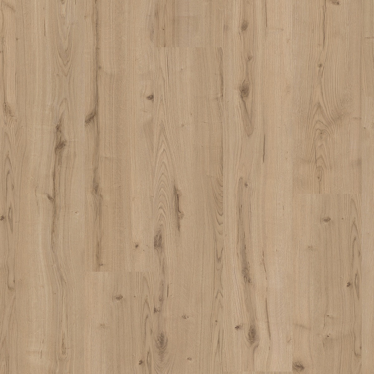 Beautifloor Ardennen Salle BTF467