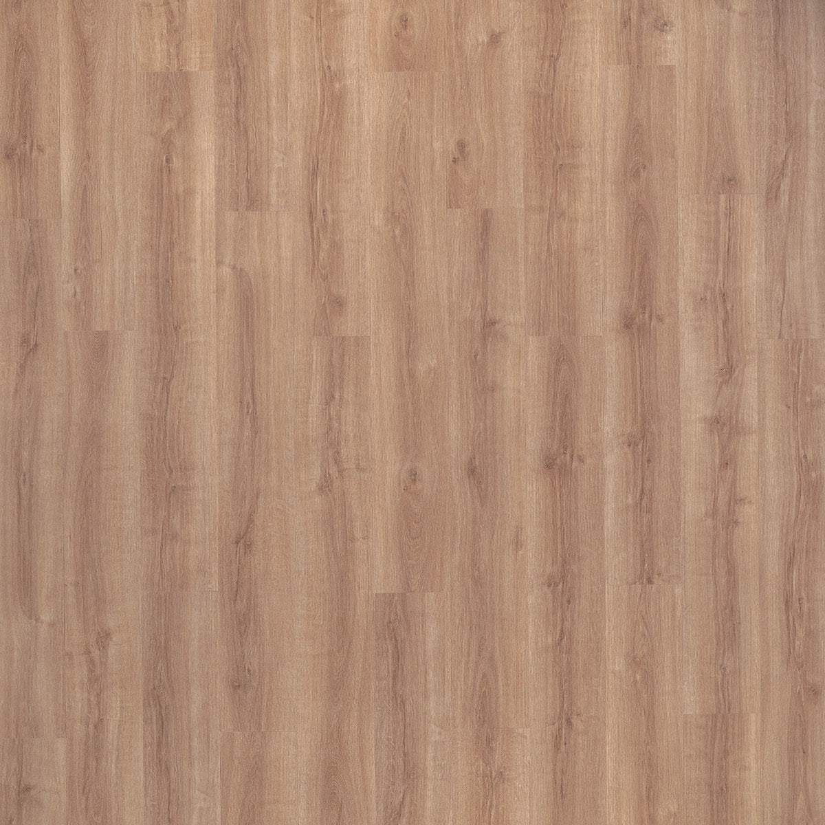 Beautifloor Bay 420010 Madeira PVC vloer - luxe eiken houtlook die zorgt voor een modern, verfijnd en uitnodigend interieurontwerp